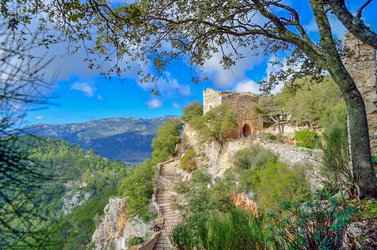 Villa Alaro - 307382 Espagne