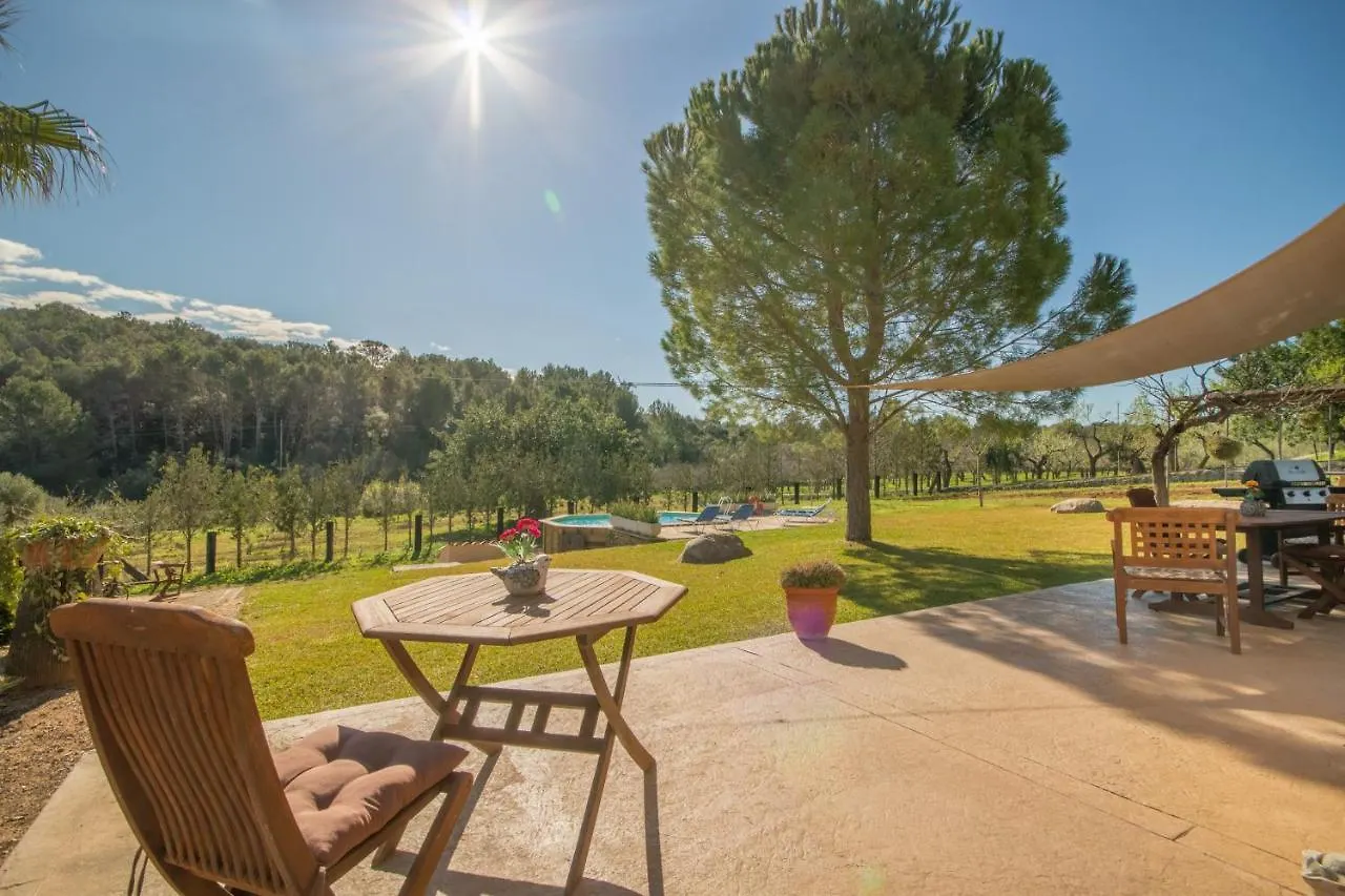 Villa Alaro - 307382