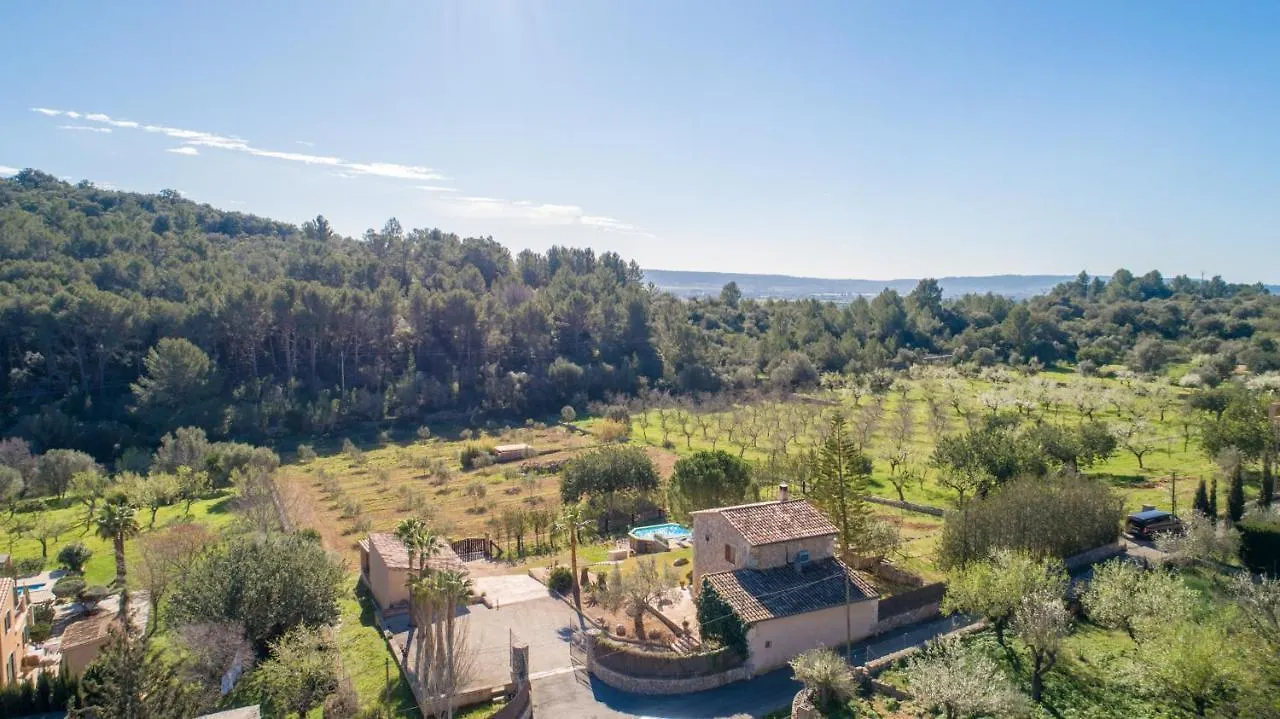 Villa Alaro - 307382